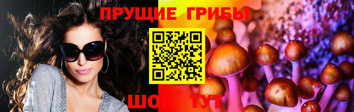 Галлюциногенные грибы GOLDEN TEACHER  Галлюциногенные грибы Psilocybine cubensis  Чапаевск  Вход с VPN 